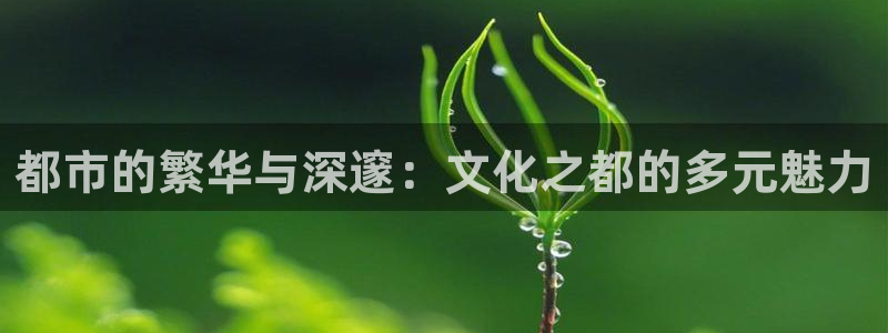 摩登7平台
