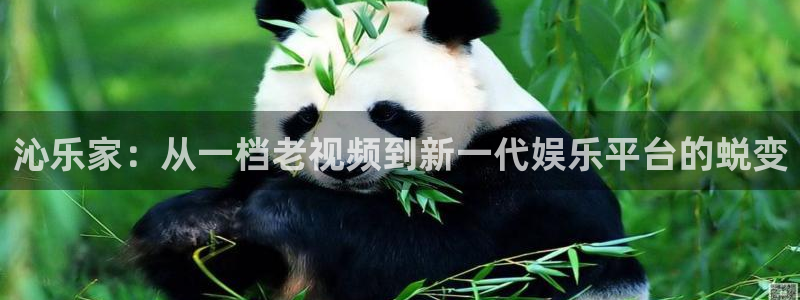 摩登7lite登录入口
