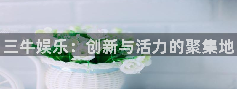 摩登7平台