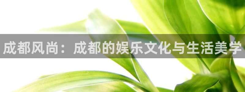 摩登7注册