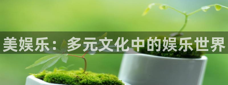 摩登7lite登录入口