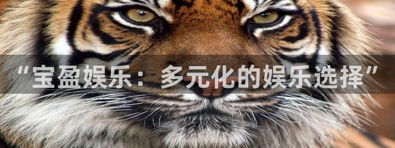 摩登7