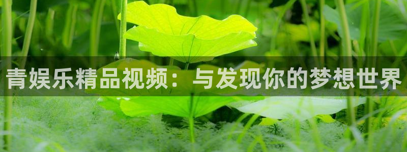 摩登7登录