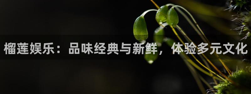 摩登7 lite注册