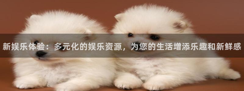 摩登7平台注册